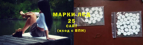 прущий лед Гусев