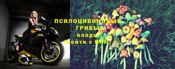 гашик Гусиноозёрск