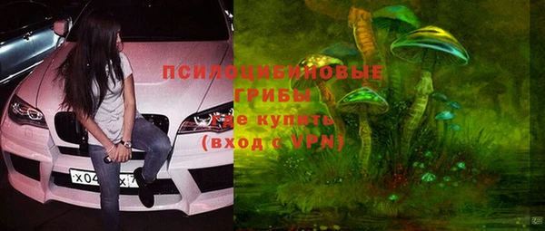 гашик Гусиноозёрск
